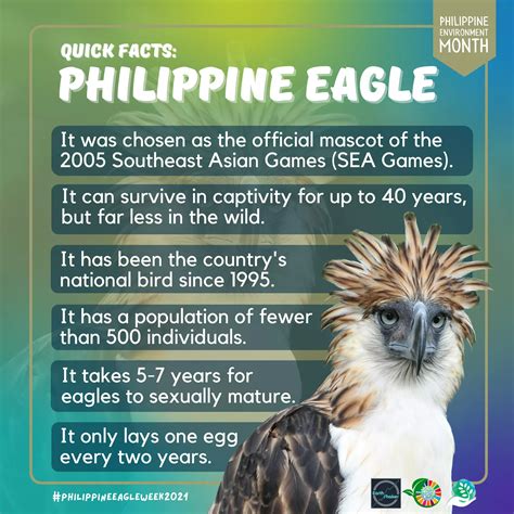 Earth Shaker - #PhilippineEagleWeek: Quick Facts about the...