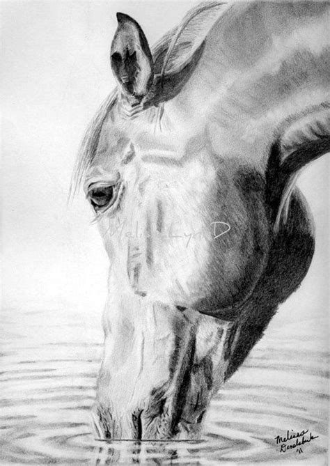 40 Realistic Animal Pencil Drawings More Easy Pencil Drawings, Horse ...