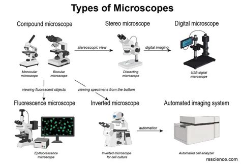 Different types of Microscopes – light microscope, electron microscope, scanning probe ...