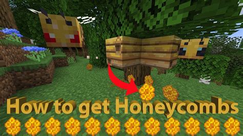 Honeycomb Minecraft