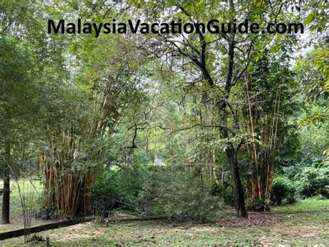 Kepong Botanical Gardens