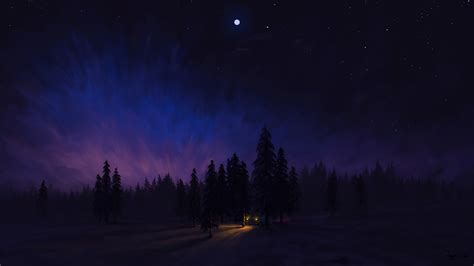 Paisaje nocturno en el bosque Arte digital Fondo de pantalla 4k HD ID:7320