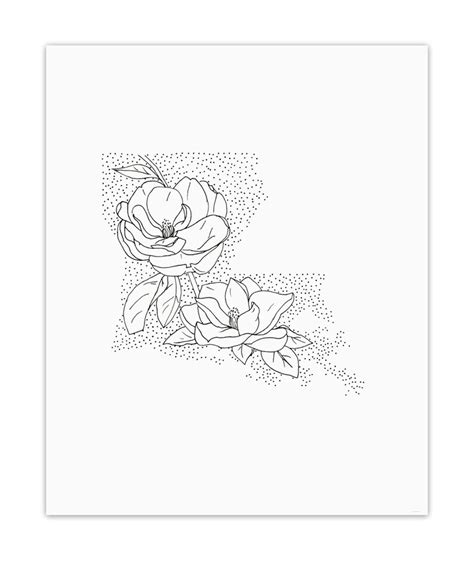 Louisiana Magnolia State Flower Drawing Giclee | Etsy