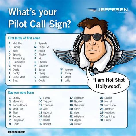 What's Your Pilot Call Sign?I guess I'm Punchy Viper!! | Aviation ...