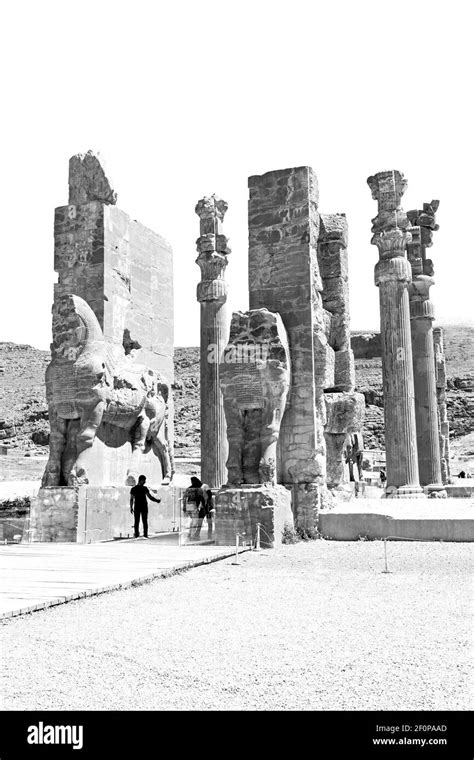 In iran persepolis Stock Photo - Alamy