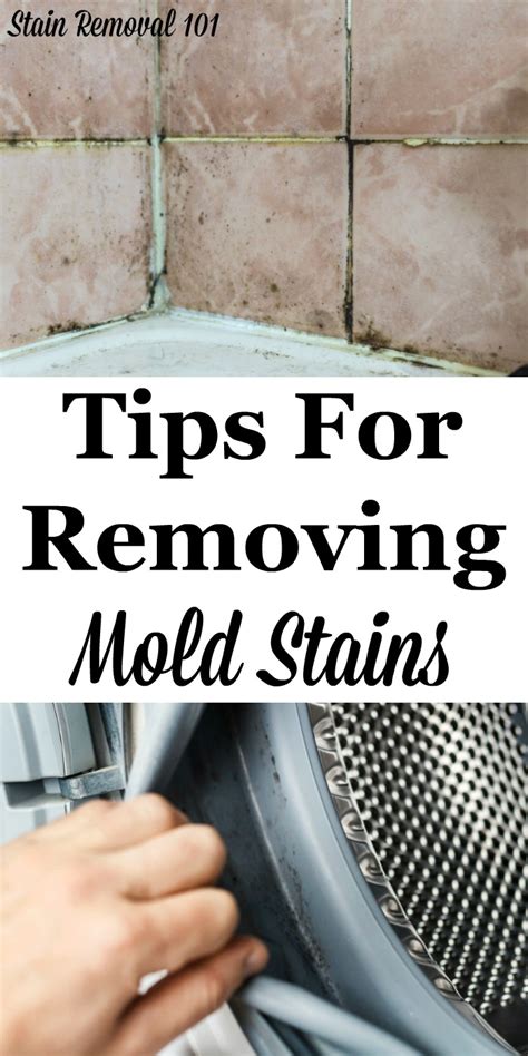 Mold Removal Stain Tips: Getting Rid Of Mold Stains