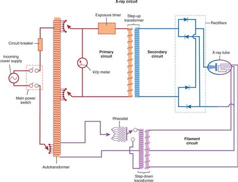 X-ray Circuit Diagram | Quizlet