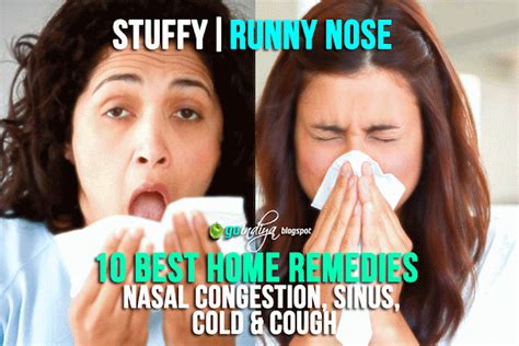 10 Home Remedies for Nasal Congestion, Sinus, Cold & Cough, Stuffy/Runny Nose - 2 - Natural Home ...