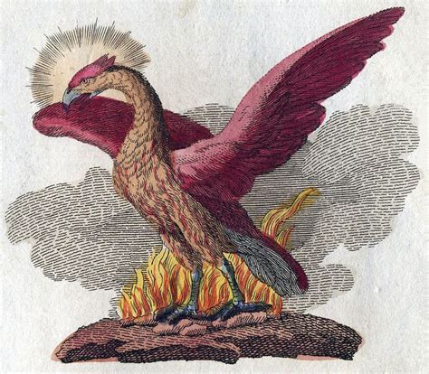 Phoenix (mythology) - Alchetron, The Free Social Encyclopedia