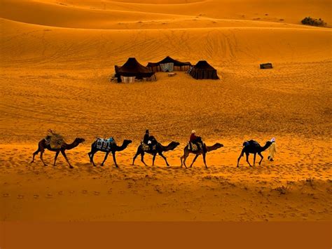 Desert Scenes Wallpaper - WallpaperSafari