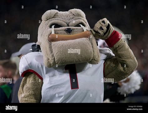 South Bend, Indiana, USA. 09th Sep, 2017. Georgia mascot performs ...