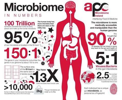 Microbiome Data Congress 2024 - Marya Sheelah