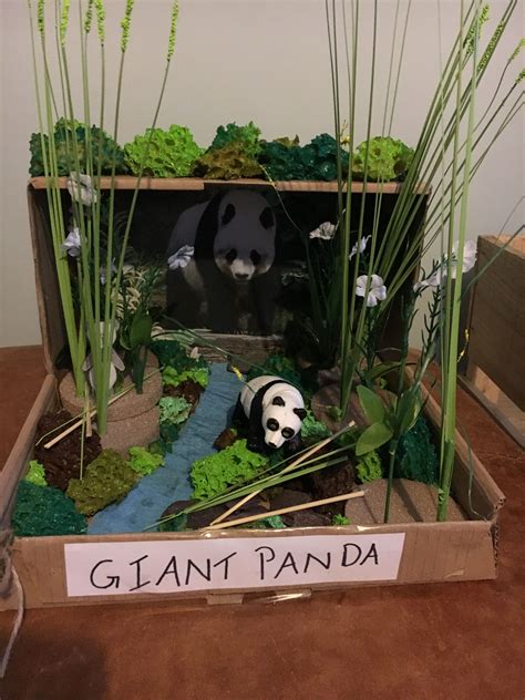 Panda Habitat school project..... mostly made from things we had at ...