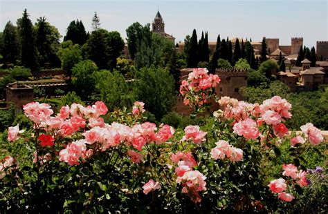 Flowers of Alhambra Gardens Granada- a Photo Essay - i Share