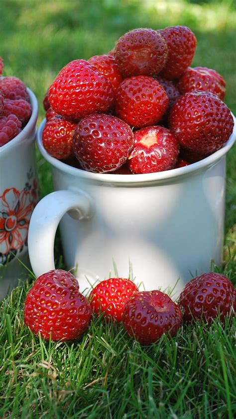 Strawberries in the cup, close up, grass, glass, cups, mugs, summer, strawberry, HD phone ...