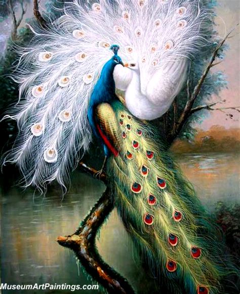 Famous Peacock Paintings Peacock and Peacock Butterfly