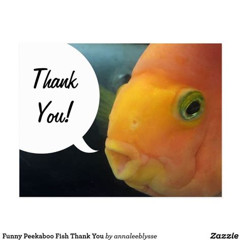 Funny Peekaboo Fish Thank You Postcard | Zazzle | Thank you postcards ...