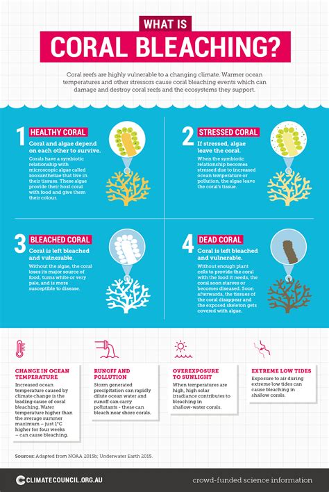 Climate Change Impacts on the Great Barrier Reef