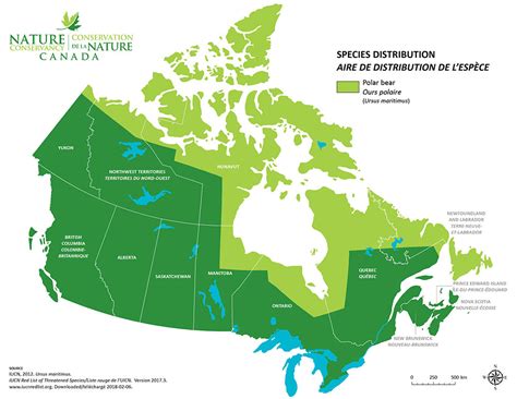 Polar Bear Habitat Map | Map Of The World