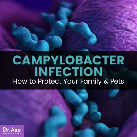 Campylobacter Causes & Symptoms + What to Do - Dr. Axe