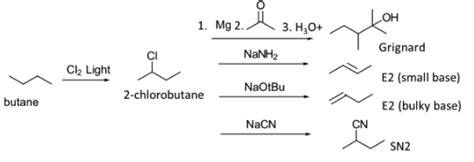 Calculating the Products of Monochlorination