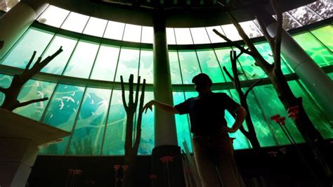 Orlando Science Center: Upcoming 'Life' exhibit taking shape