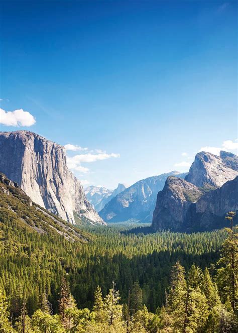 Yosemite Camping Visitors Guide: 13 Campgrounds, 5 Hikes, Attractions ...