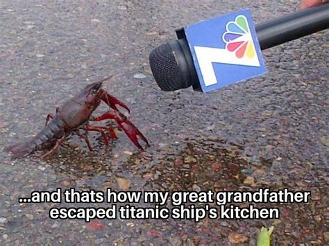 Adventure of lobster #funny #memes #memesociety R Memes, Funny Memes, Jokes, Funny Animal Memes ...