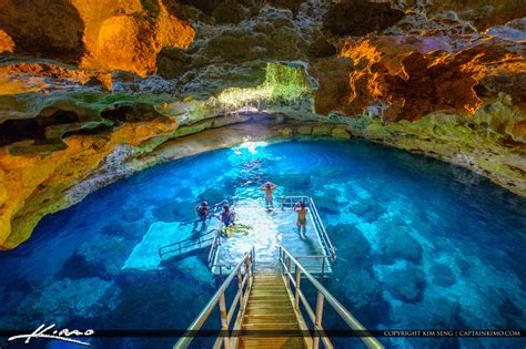 Devils Den Williston Florida Levy County Florida Spring Cave | HDR Photography by Captain Kimo