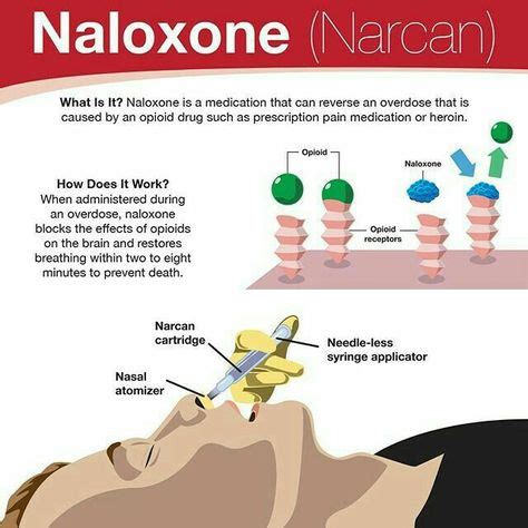 naloxone | Pharmacology nursing, Emergency nursing, Pharmacology