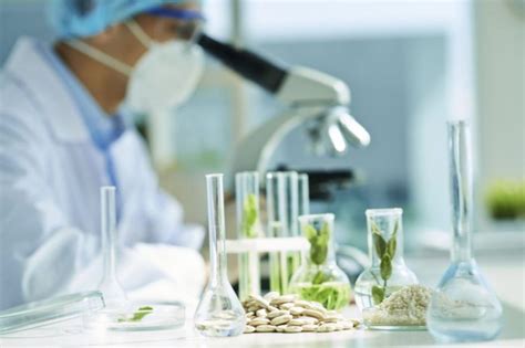 Biotecnología Ambiental: Definición, Importancia, ventajas y desventajas | La Biotecnología (2022)