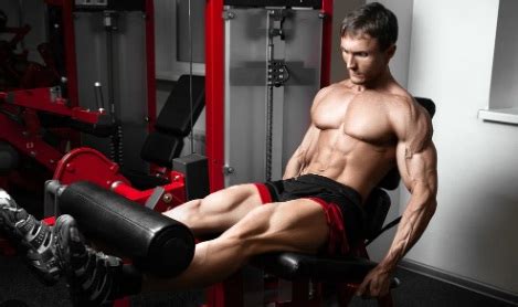 10 Best Leg Extension Machine Muscles Worked - Ahembeauty.com