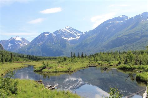 Baked Alaska: Eagle River Nature Center