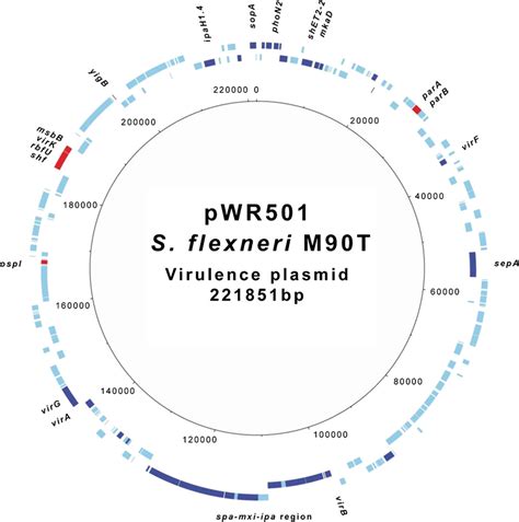 Circular map of genes differentially expressed in the virulence plasmid... | Download Scientific ...