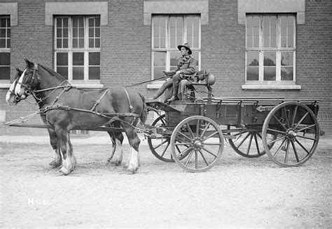 Horse and Buggy: The Primary Means of Transportation in the 19th ...