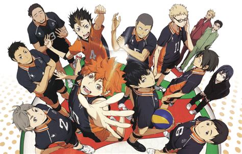 Haikyuu Karasuno Wallpaper