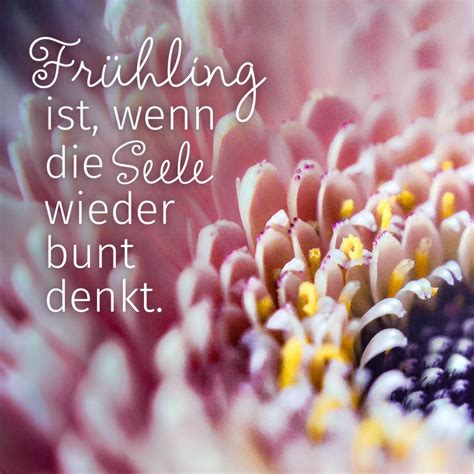 Frühling Spruch | Frühling sprüche, Blumen spruch, Sprüche