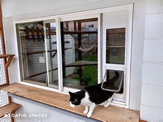 Diy Cat Door For Sash Window : Install Pet Door Diy Doggy Door By Pet ...