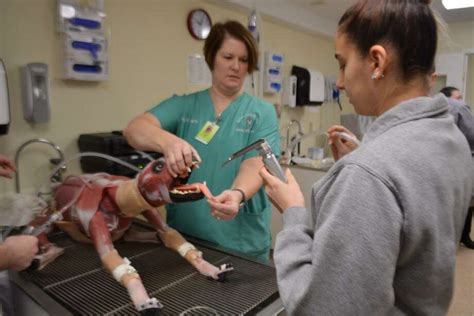 Middlesex Community College’s veterinary tech students among 1st in U.S ...