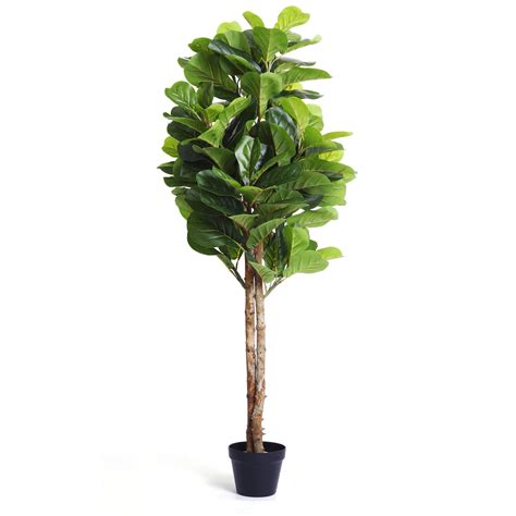 Best Artificial Fiddle Leaf Fig Tree | Fake Fiddle Leaf Fig Tree – Homelux Theory