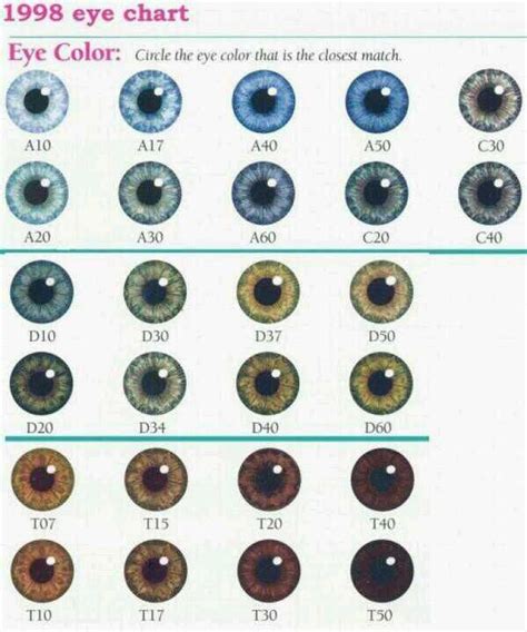 eye color probability chart 9gag - eye color gene probability chart the more you know did you ...