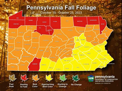 Pa Fall Foliage Map 2025 - Dawn Mollee