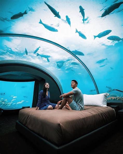 Room Maldives Underwater Hotel Prices - img-pewpew