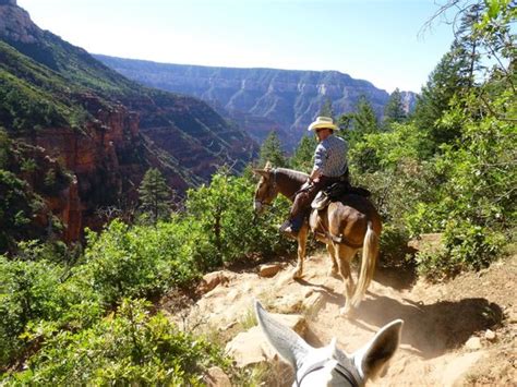 What a fantastic experience! - Review of Canyon Trail Rides, Grand ...