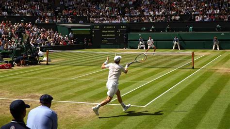 Are Dogs Allowed At Wimbledon Tennis