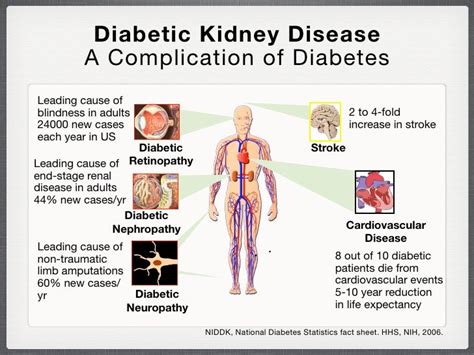 How Can Diabetes Cause Renal Failure - DiabetesWalls