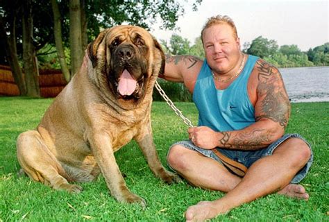 WHAT IS THE BIGGEST DOG IN THE WORLD? |The Garden of Eaden