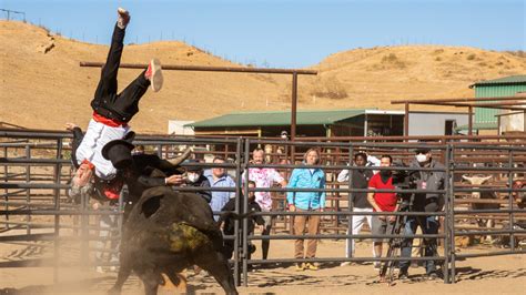 'Jackass Forever' is sublimely stupid and surprisingly inspiring | Mashable