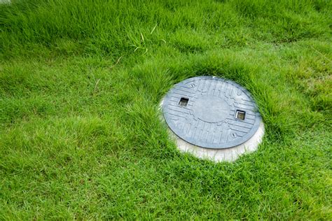 Signs of Septic System Problems | Peak Sewer Edmonton