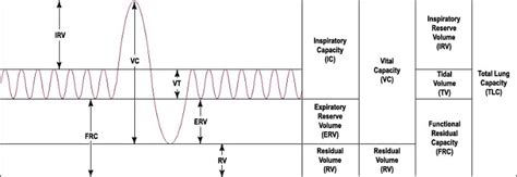 Inspiratory Capacity Volume